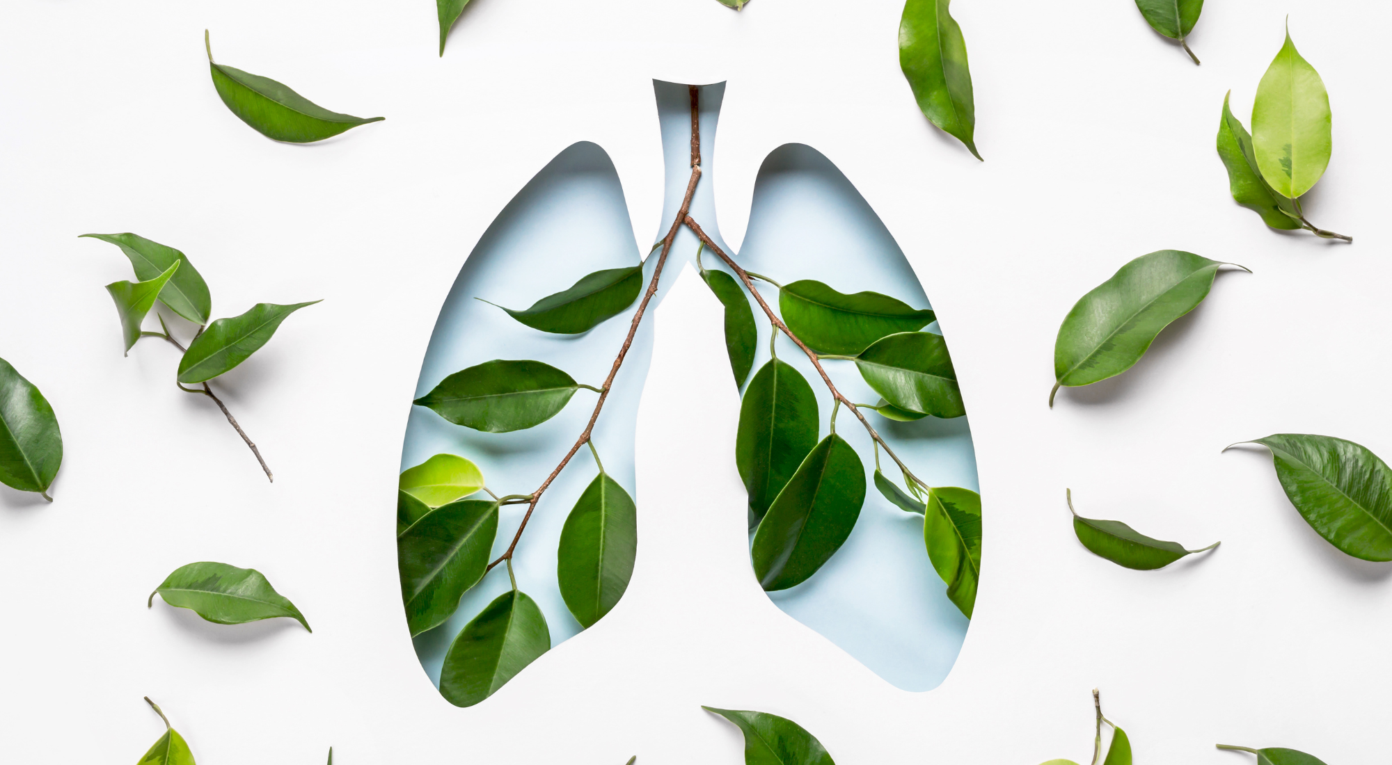 understanding-lung-cancer-health-partners-group